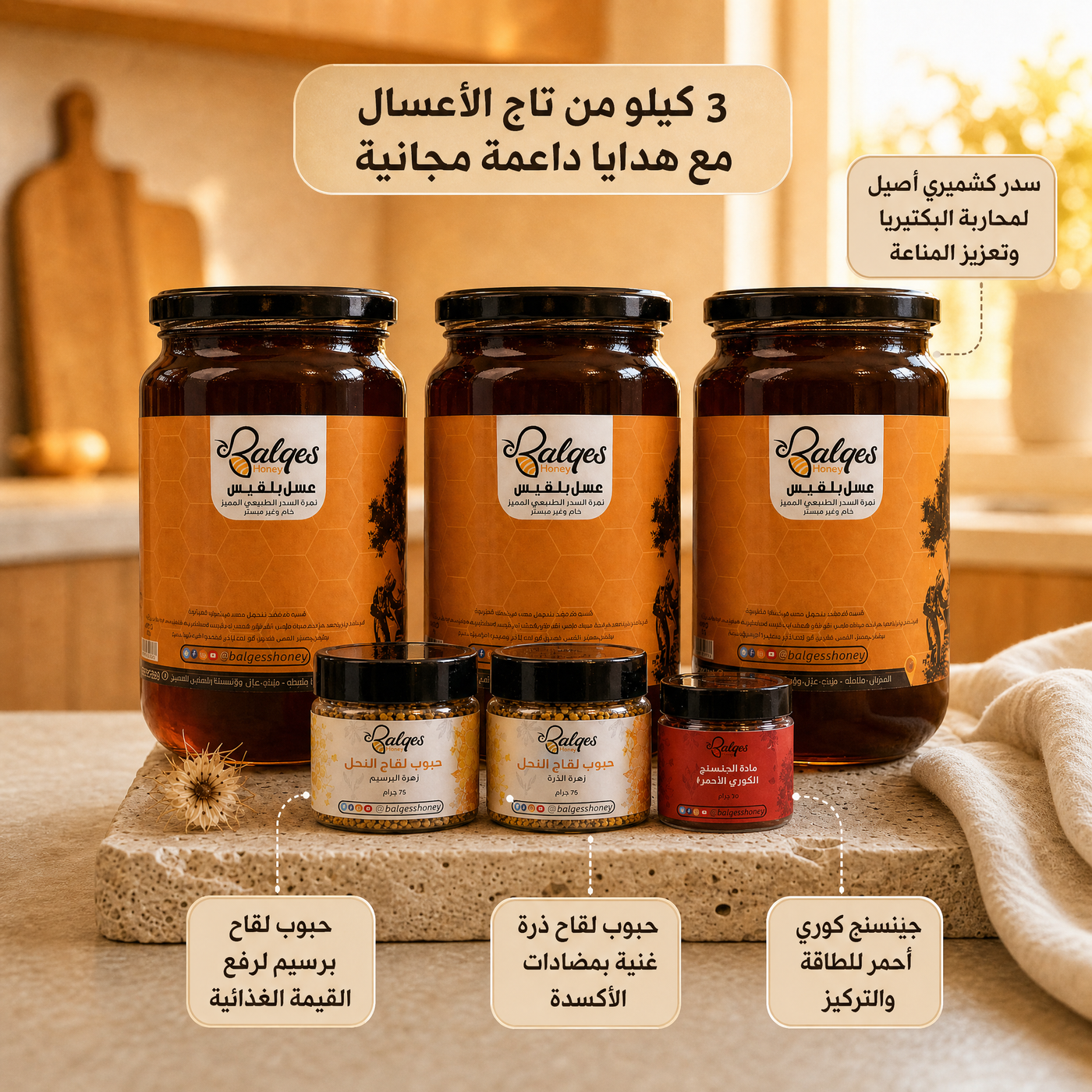 عرض سيد الأعسال من بلقيس