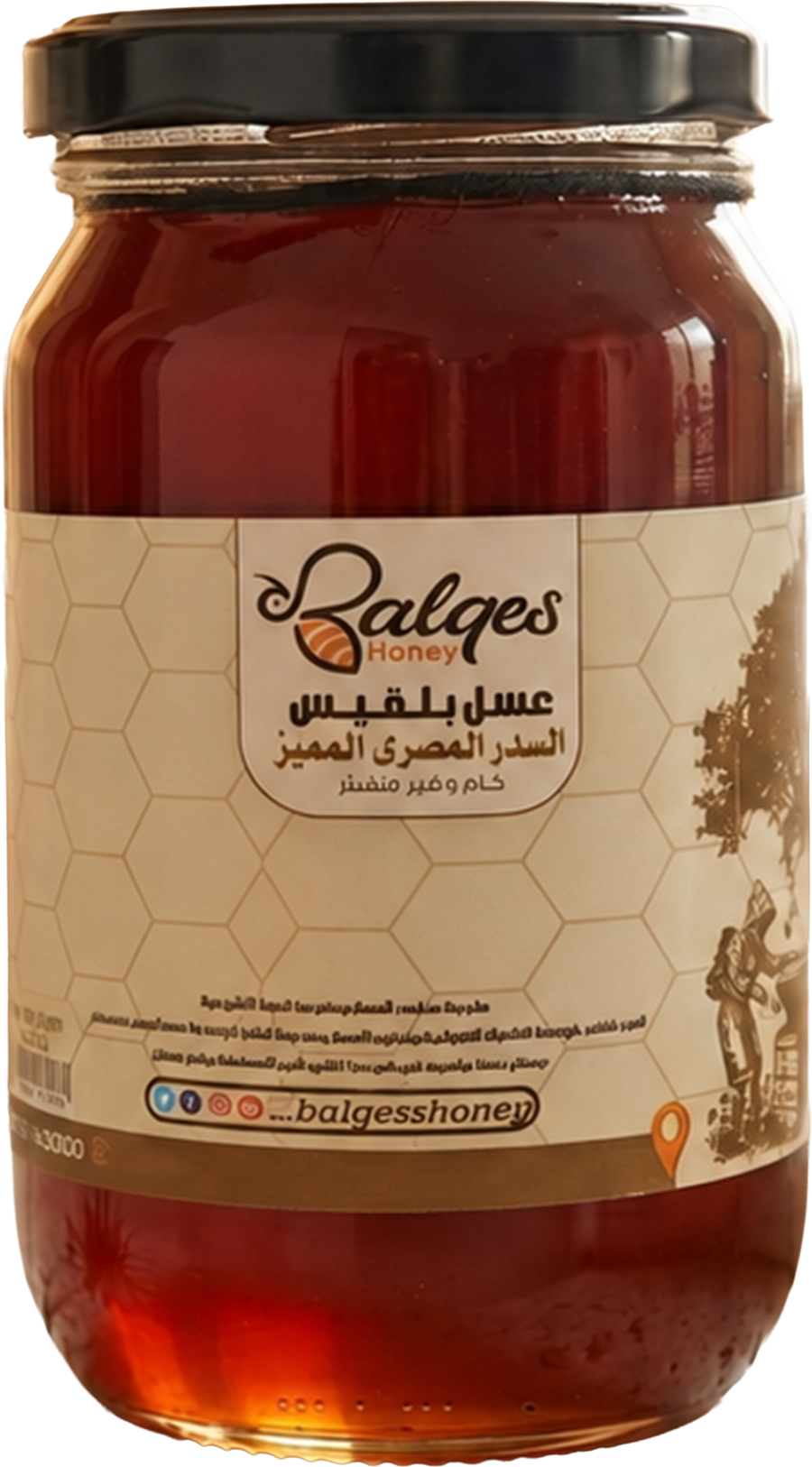 عسل السدر المصري
